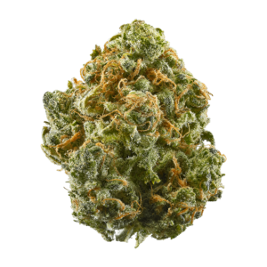 Blue Dream Strain, blue dream marijuana strain,