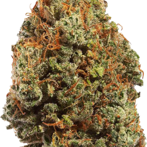 Doja Doja Cold Creek Kush, Buy Marijuana Australia,