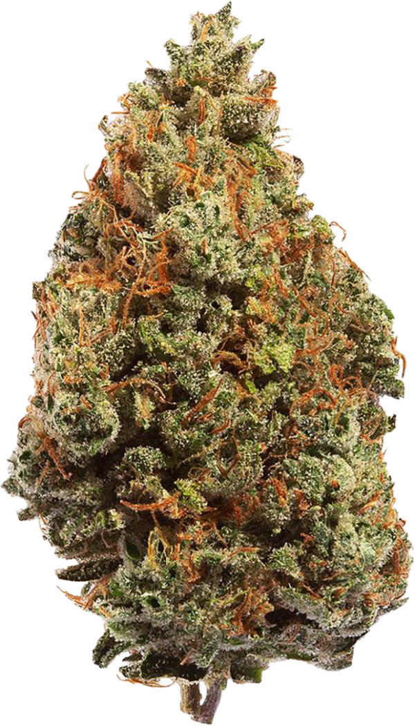 Doja Doja Cold Creek Kush, Buy Marijuana Australia,