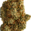 Doja C99 weed, buy weed in australia,