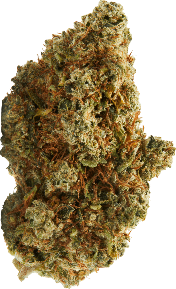 Doja C99 weed, buy weed in australia,