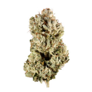 Gorilla Glue #4 Strain, weed for sale in Australia, buy marijuana online australia,