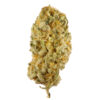 Jack Herer Strain, buy weed near me Australia, weed for sale australia,