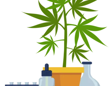 Buy Top-Rated Marijuana in Darwin